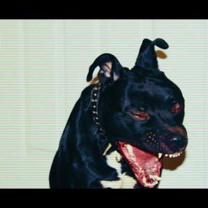 Meet your Posher, Ejiro